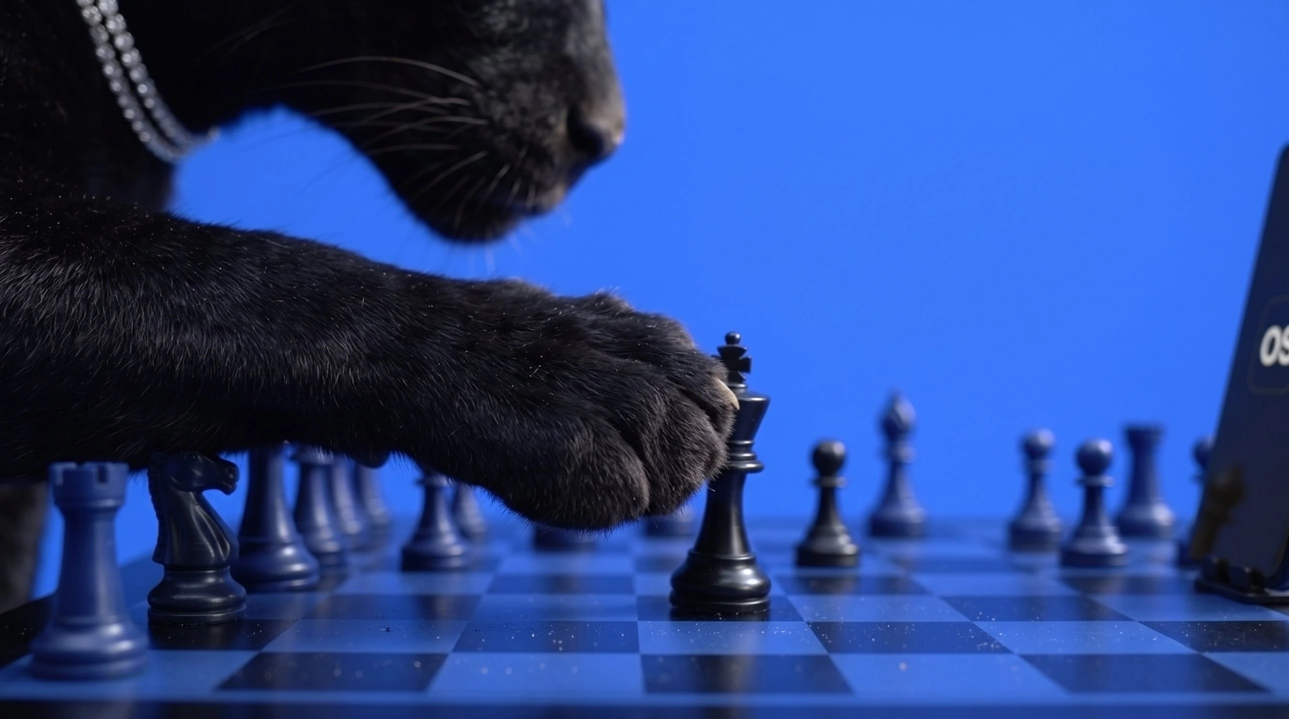 A black jaguar’s paw moving a chess king