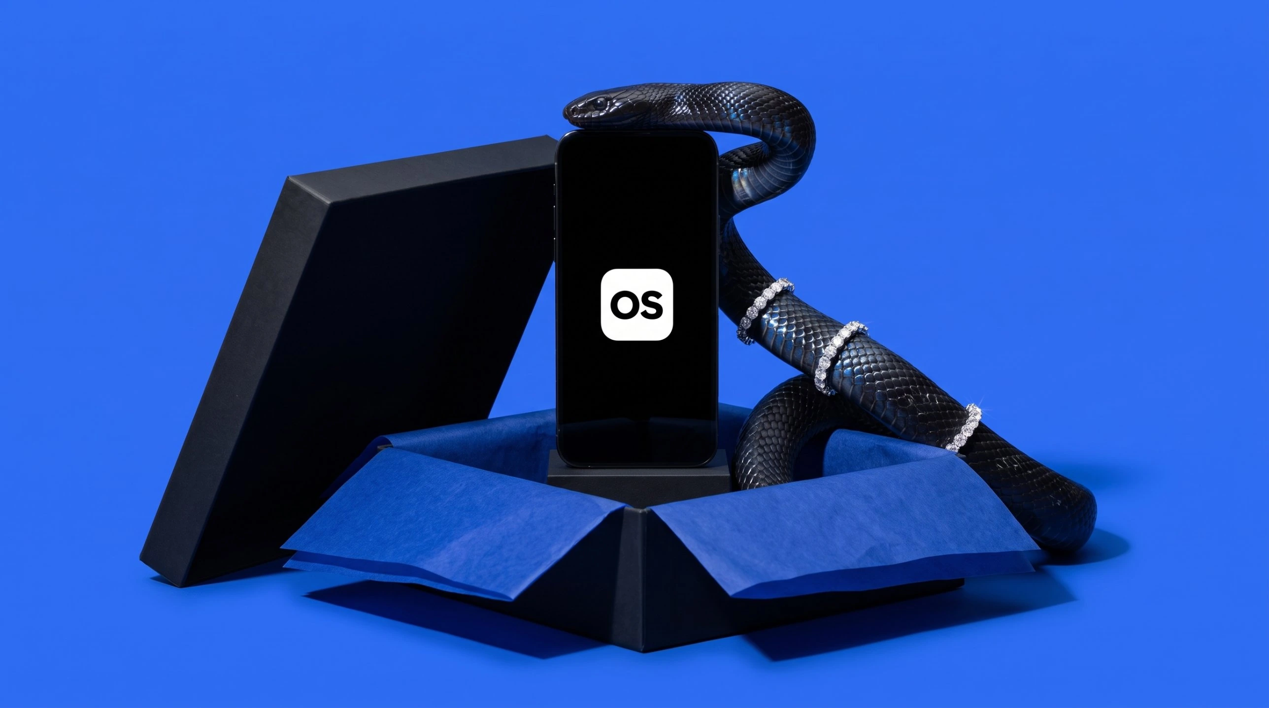 A black snake rising from a gift box around a phone