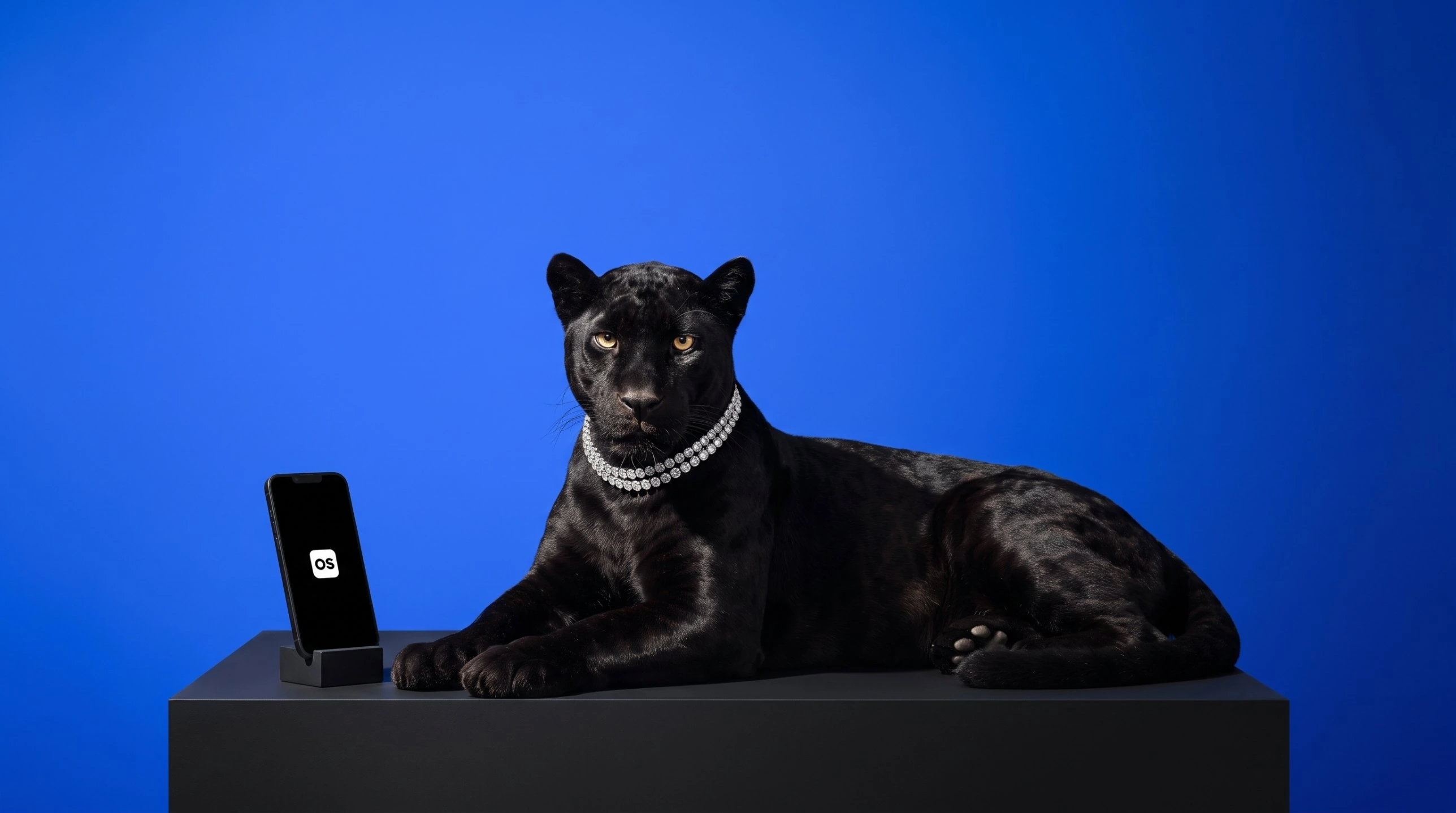 A black jaguar in a diamond collar lying on a black plinth beside a phone showing the OS icon, looking straight at the camera